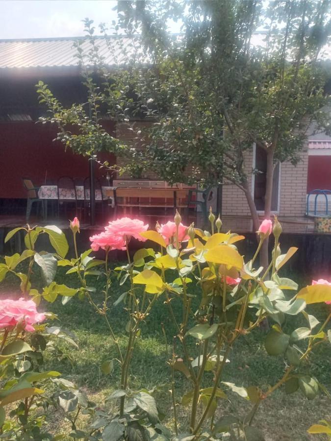 Villa Vilish Gabala Eksteriør billede